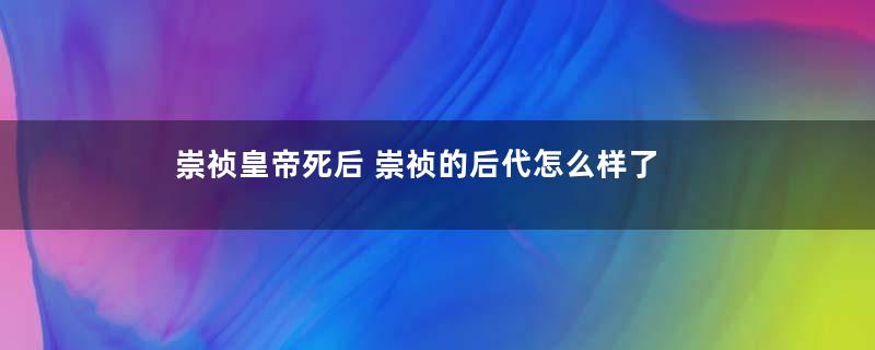 崇祯皇帝死后 崇祯的后代怎么样了